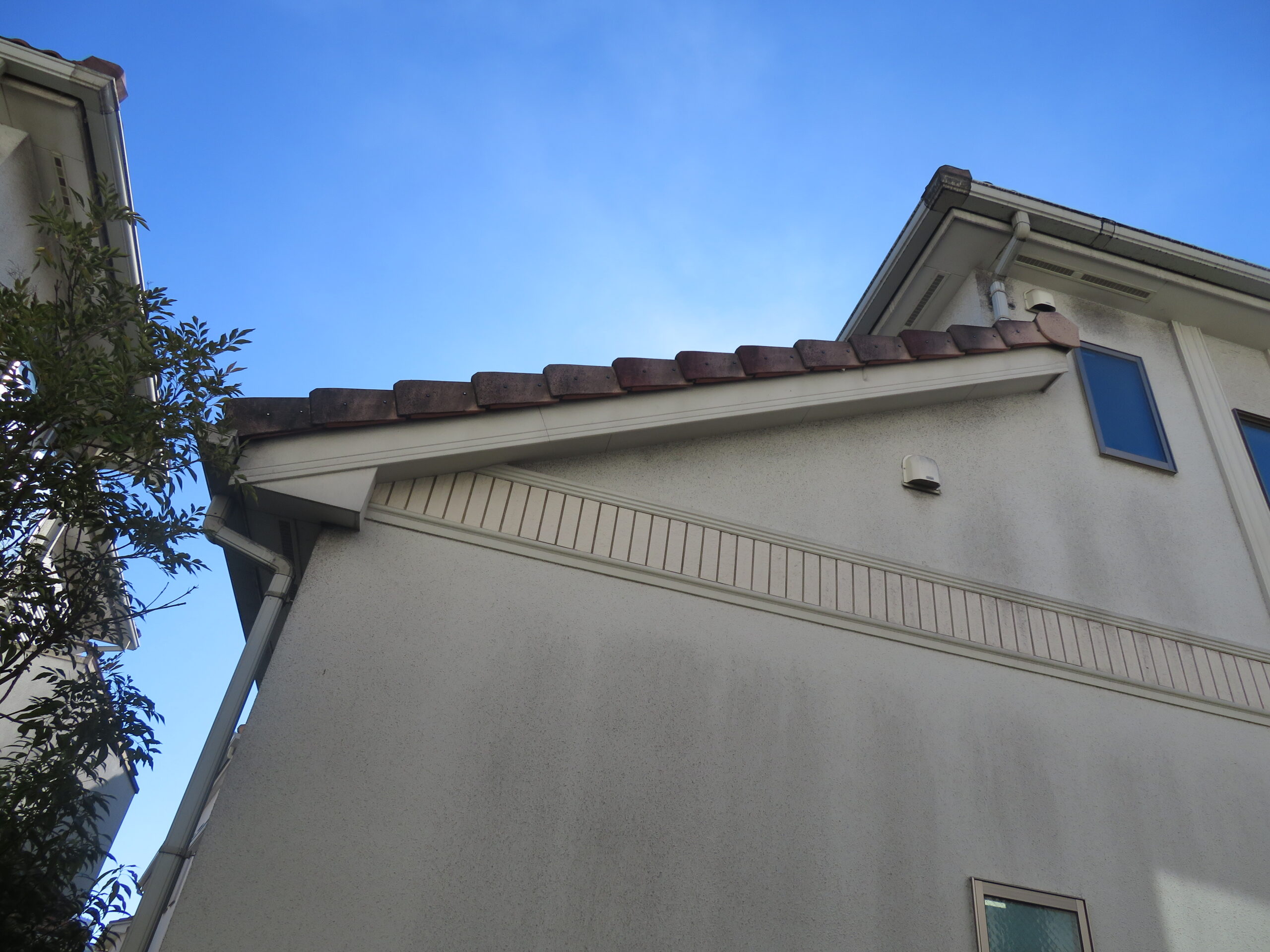 外壁のカビを高圧洗浄だけで落として大丈夫？坂戸市の専門業者が解説